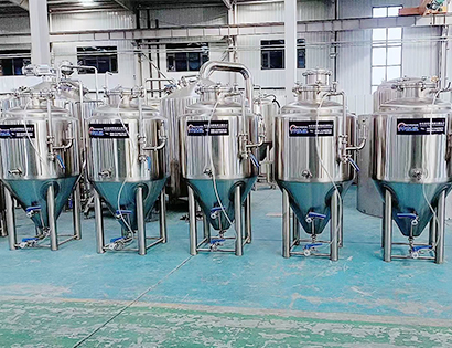 300L發酵罐